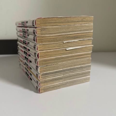 Comics: Lot Manga L-DK 1-10 – Gebraucht aus Genève von raul.gnv 1