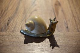 Schnecke Malevolti