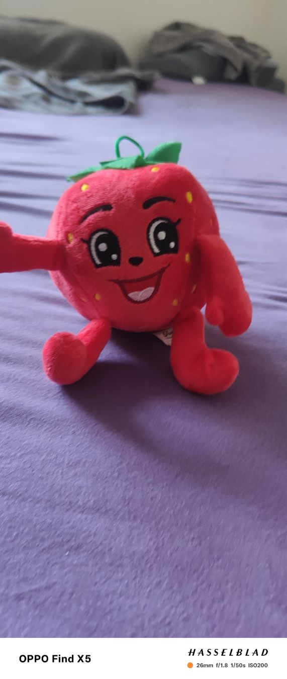 Coop Spielzeuge: Strawberry – Neu (gemäss Beschreibung) aus Unterentfelden von igs_nj72 2