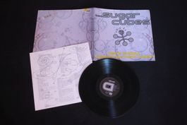SUGARCUBES Here today, tomorrow next Week! LP