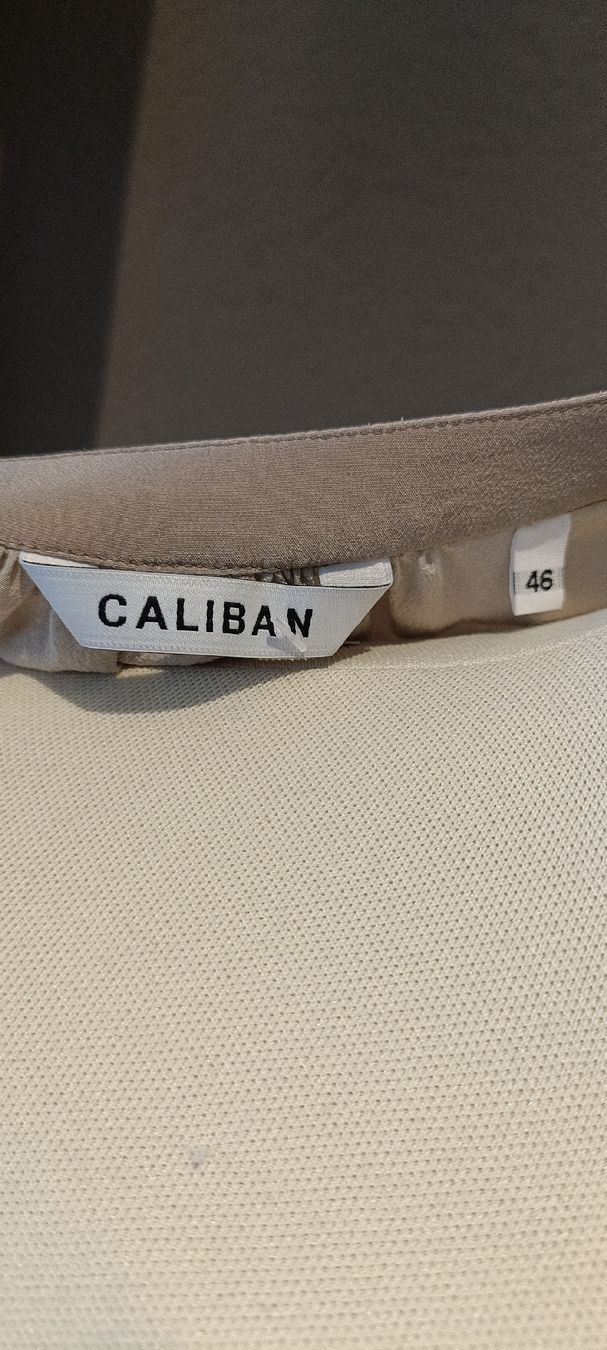 Camicette: Caliban Seidenbluse Gr.L – Nuovo (secondo la descrizione) da Zollikofen venduto da Proseco 2