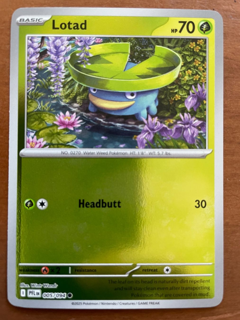 Pokémon Carte collezionabili: Pokemon Lotad Reverse (Versand gratis) – Nuovo (secondo la descrizione) da Chur venduto da Angerson