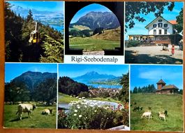 AK: Rigi - Seebodenalp - Luftseilbahn - Kussnacht