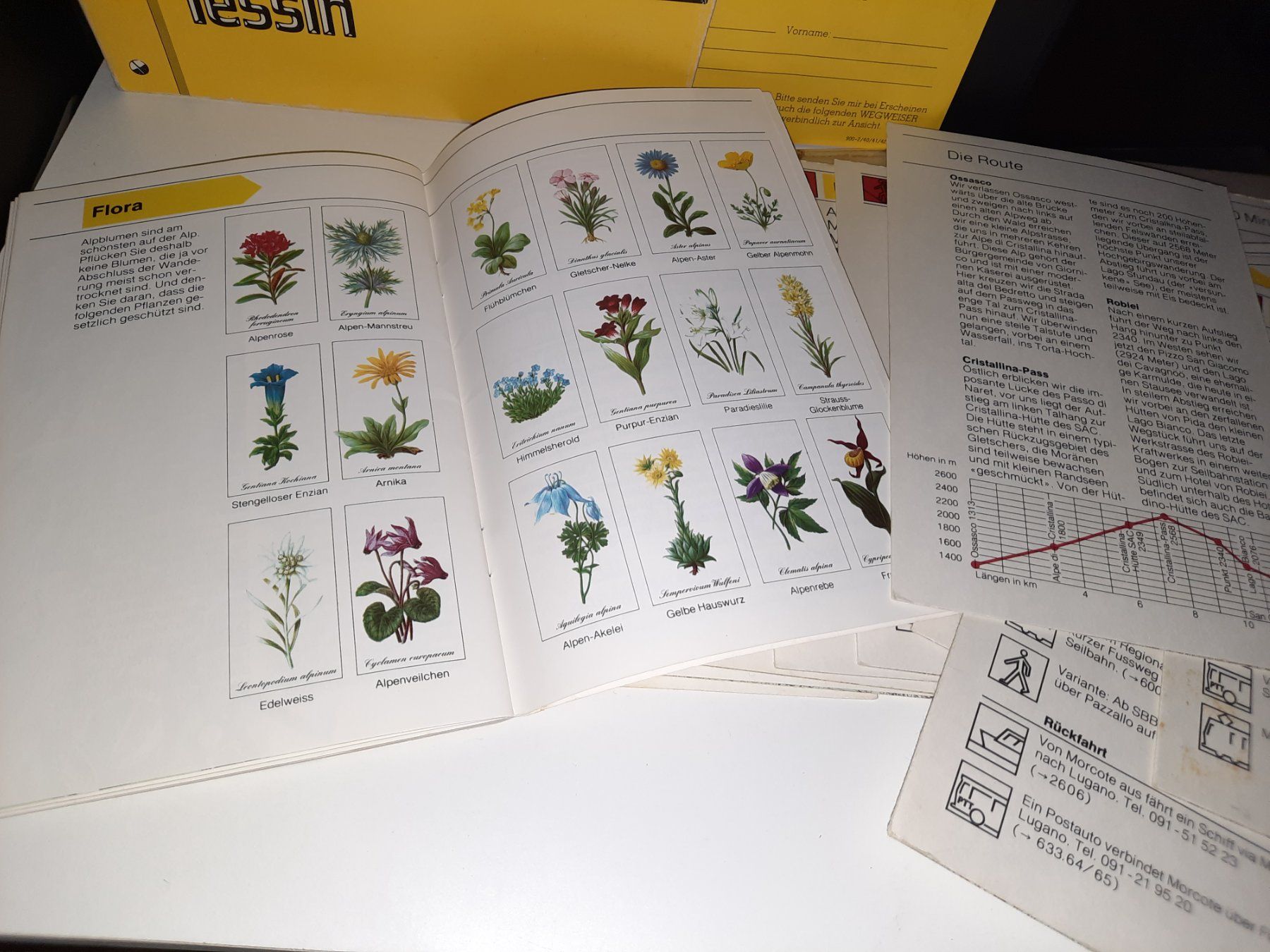 Libri: Das Gelbe Heft Wegweiser Tessin – Usato da Biasca venduto da Old_6blh 6