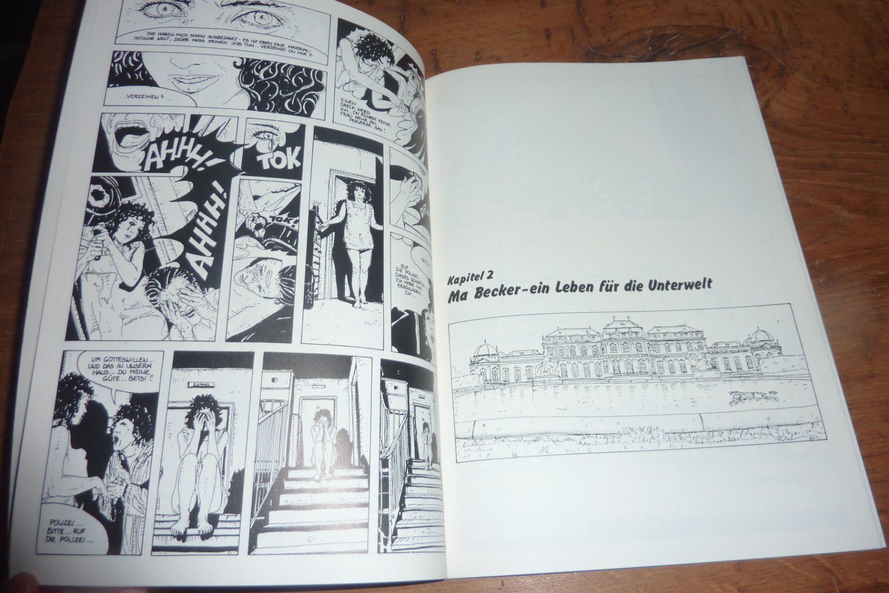 Fumetti: Inspektor Burnaoz, Comicothek, Putzker/Nussbaumer – Usato da Lausen venduto da akira003 4