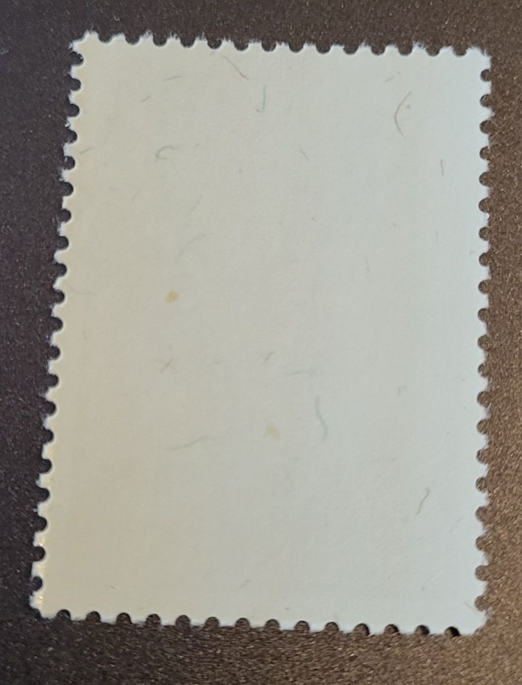 Tutti i francobolli: Jugoslawien 1971 Chicoree – Usato da St Gallen venduto da Stampsalshobby 1