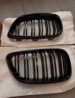 BMW M2 F87 Sportgrill Nieren Schwarz Glanz  Neuwertig