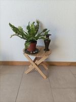 Petit meuble pour les plantes