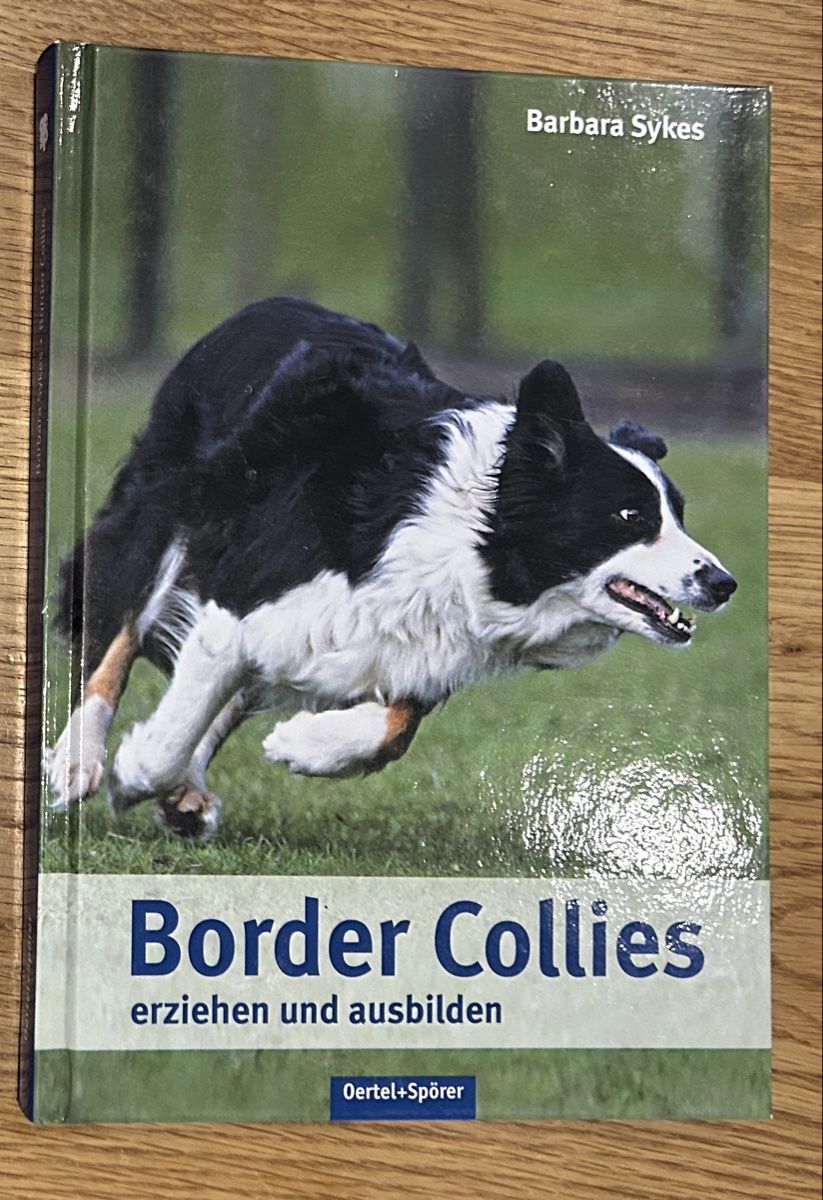Libri: Border Collies erziehen & ausbilden – Usato da Kreuzlingen venduto da bernerin85