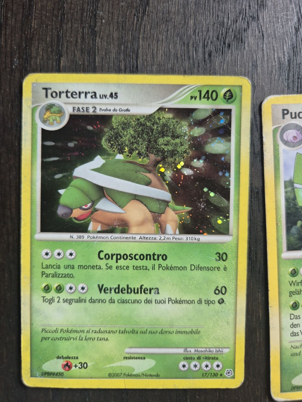 Pokémon Carte collezionabili: Pokemon - torterra holo - diamond&pearl – Usato da Subingen venduto da mattkum 1