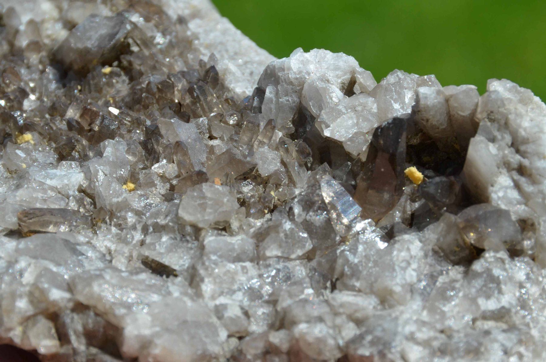 Minerali & Pietre curative: Quartz fumé suisse – Usato da Vaulion venduto da sam_6tsh 1
