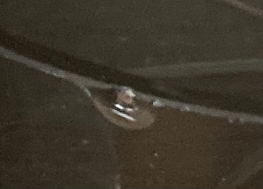 Bicchieri: Antike Schale mit Original Glaseinsatz – Usato da Einsiedeln venduto da Fundgrube59 9