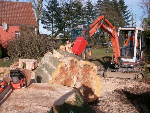 Spaccatrici & Accessori: Kegelspalter Holzspalter Bagger 500 ccm – Nuovo e nell'imballaggio originale da Les Ponts-de-Martel venduto da SpalterRobert 4