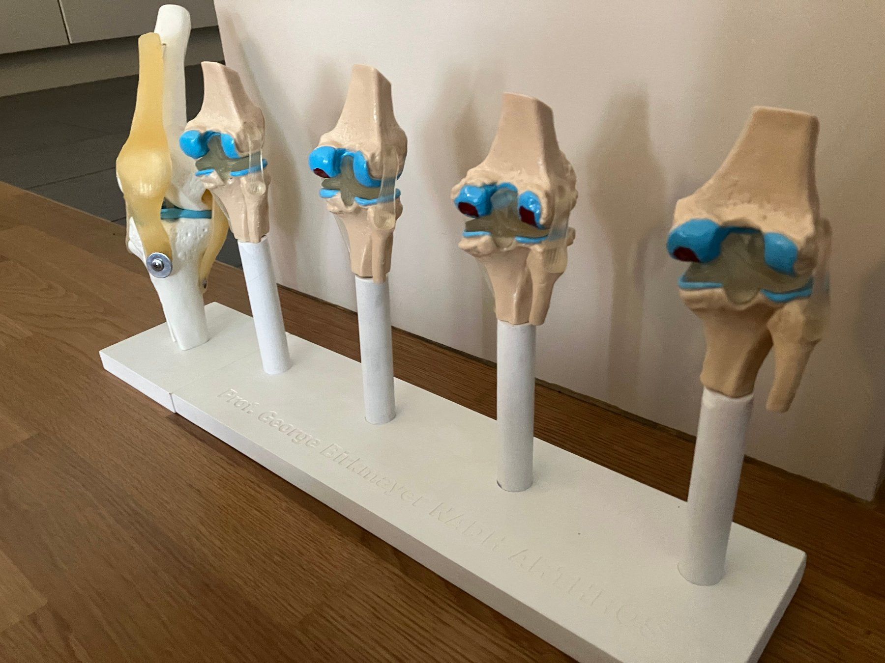 Kits de montage: Kniegelenksmodelle – D'occasion à Olten par PGBNG 2