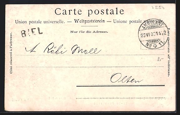 Cartoline postali: Bienne, Tir Cantonal Bernois 1903, La Ca – Usato da Berlin venduto da bartko-reher 1