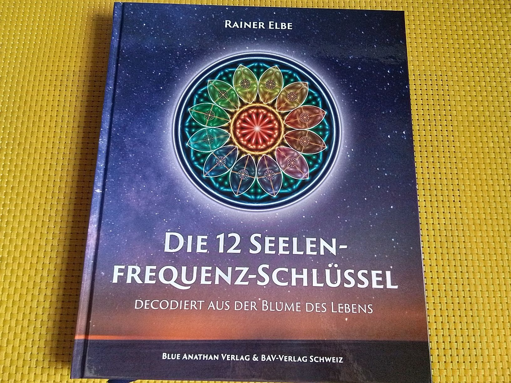 Libri: Die 12 Seelen - Frequenz - Schlüssel – Nuovo e nell'imballaggio originale da Rebstein venduto da Buchsi03