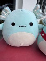 Squishmallows Axolotl 2x ca 20cm