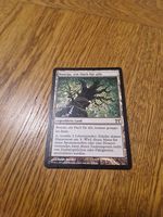 Magic the Gathering Boseiju, who shelters all