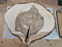 Nussbaum Holz Baumscheibe