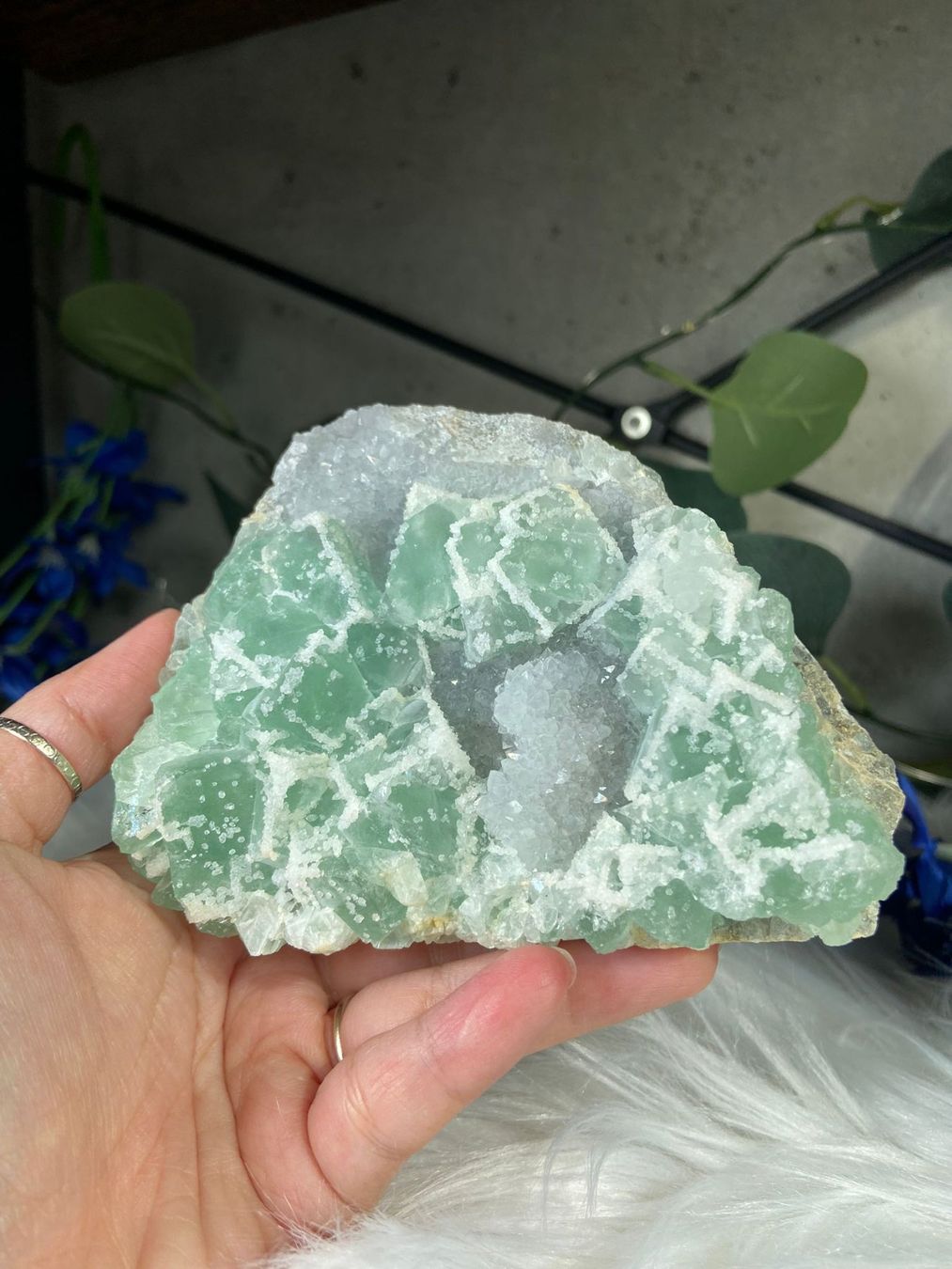Pietre preziose: Grüner Fluorit – Nuovo (secondo la descrizione) da Neuheim venduto da m.hald