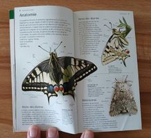 Papillons, Nature en poche