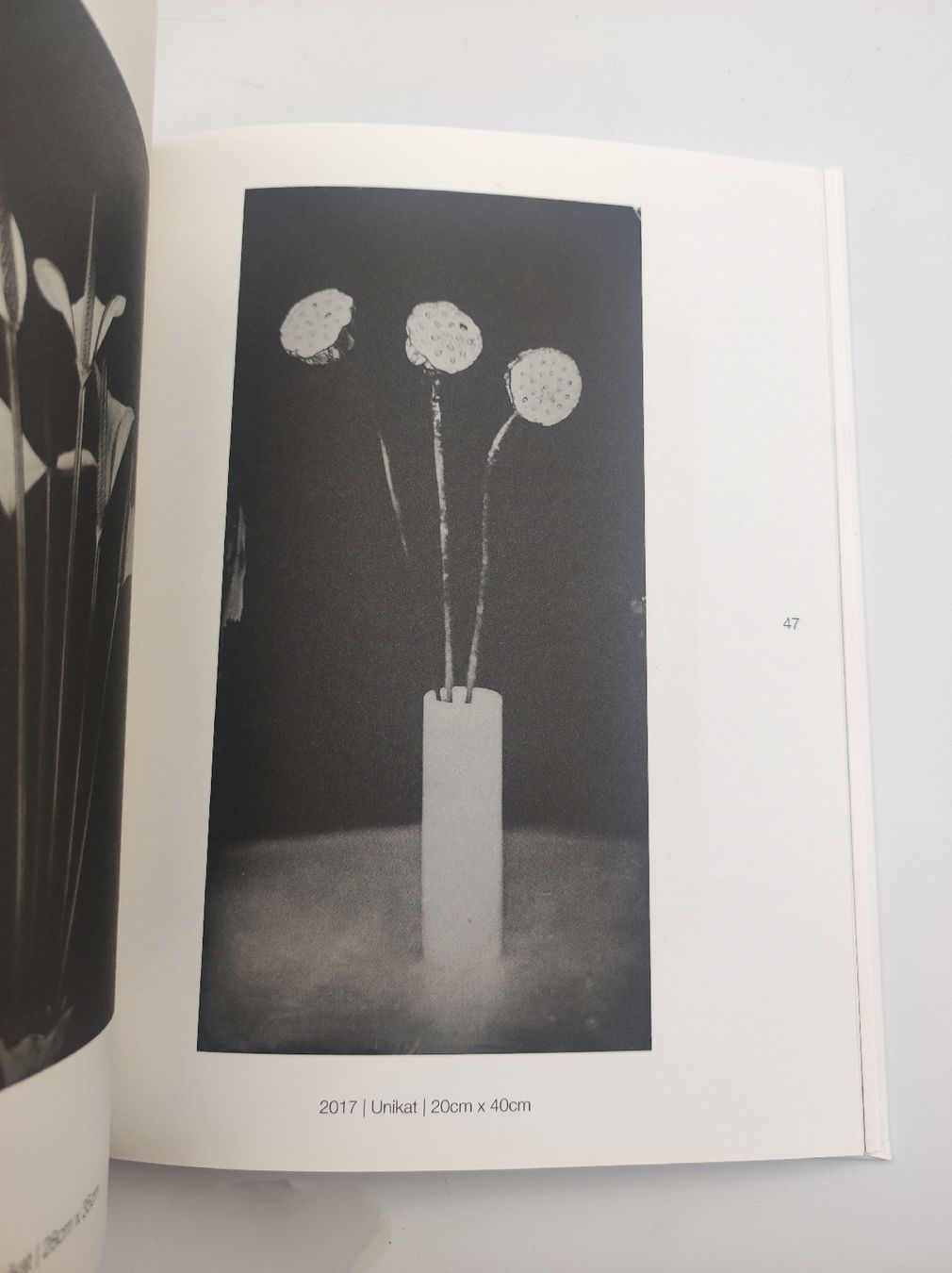 Libri: PHOTOBOOK - STEFFEN DIEMER – Nuovo (secondo la descrizione) da Goldach venduto da Gaip 8