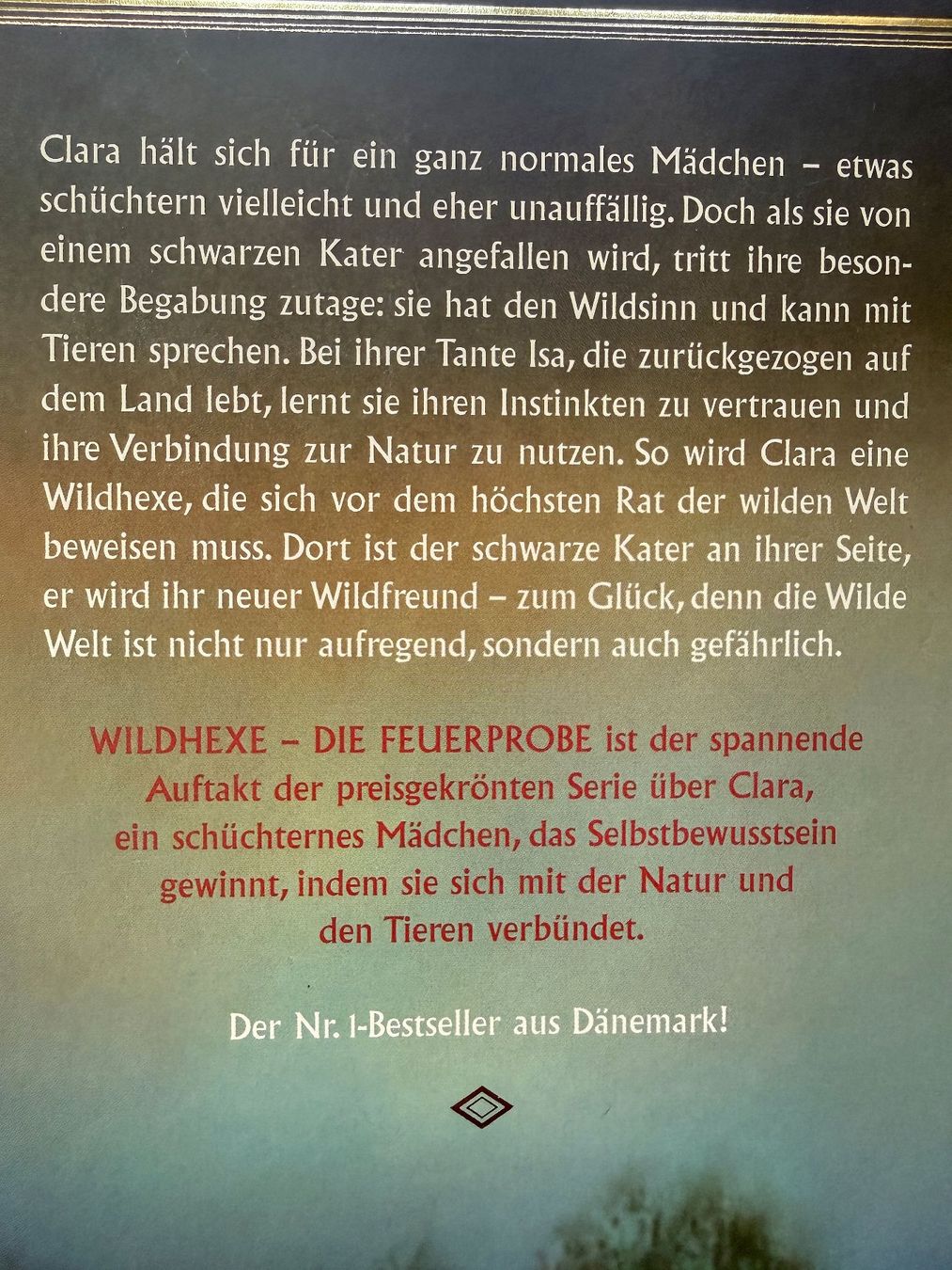 Livres: Wildhexe, Band 1–3 – Neuf (Voir description) à Richterswil par Nathan_adler 1