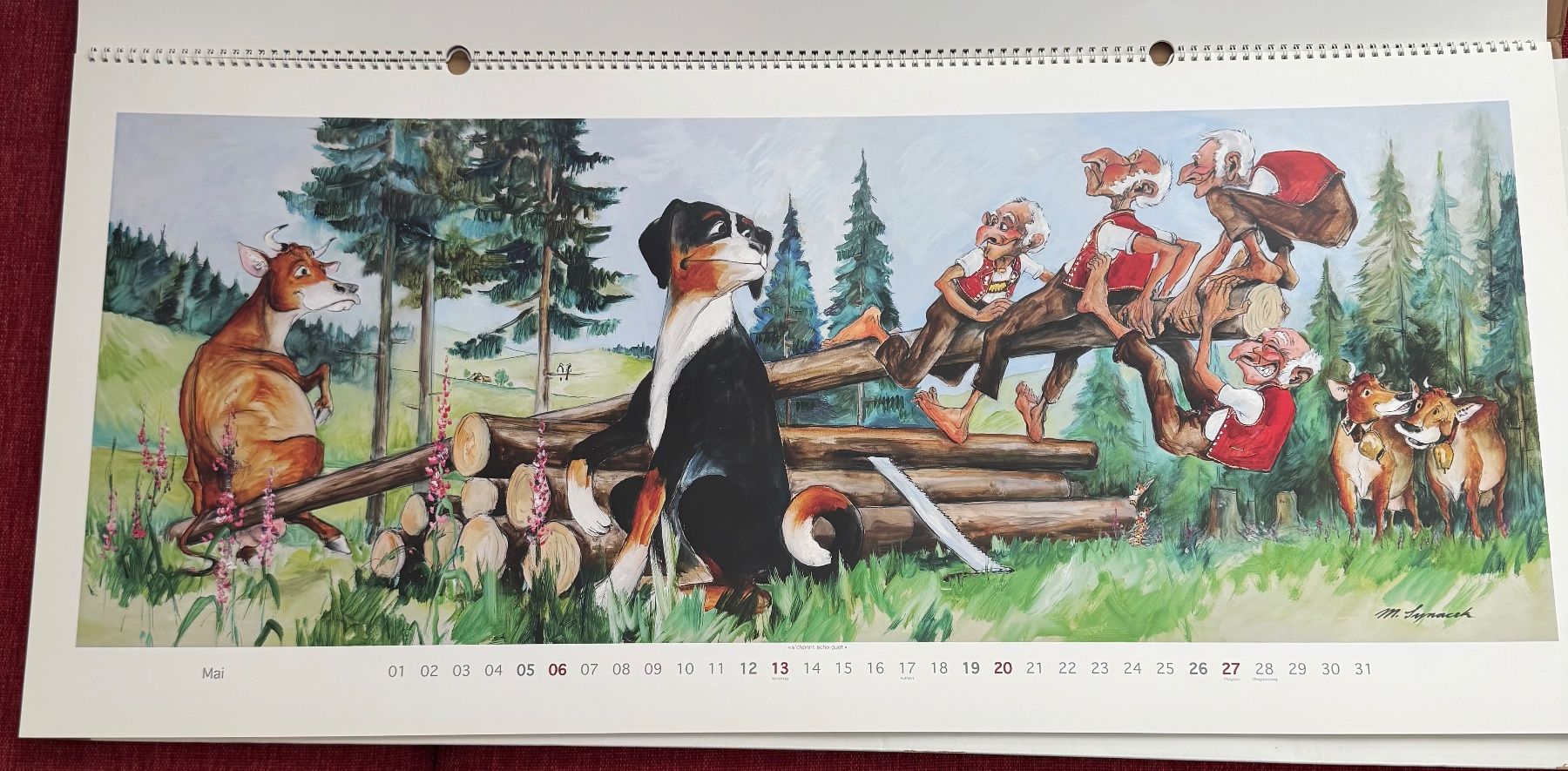Kalender: Kalender Martin Synacek 2012 Appenzell – Gebraucht aus Riehen von ekc_ymy2 5