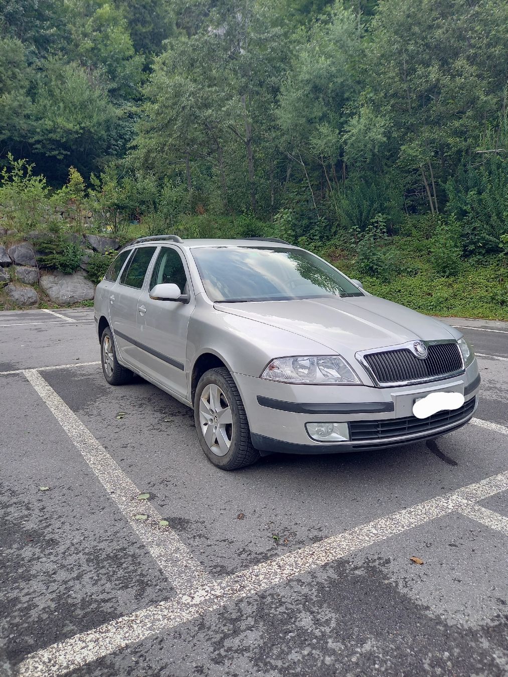 Skoda Automobili: Skoda Octavia 2.0 TDI 4x4 PD – Usato da Melchtal venduto da aebifahrer48 2