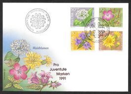 FDC Pro Juventute Serie 1991 ET 26.11.1991 schön illustriert
