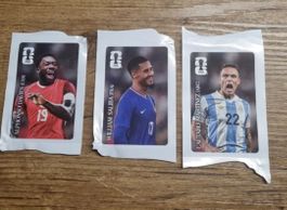 WM 2026 Panini Cola Sticker