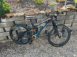 Vélo de descente Carbone (enfant 140-170cm)