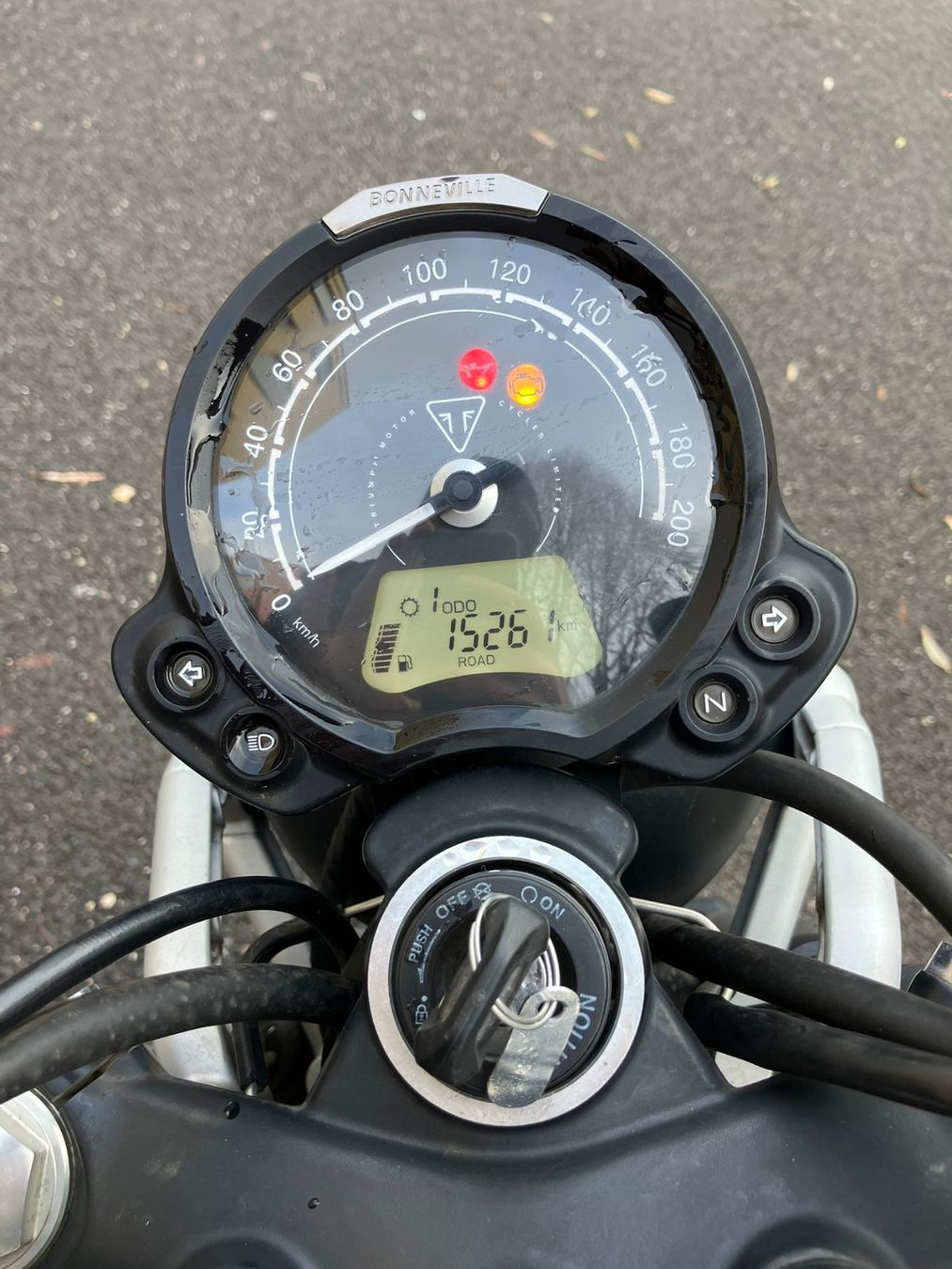 Triumph Strada: Triumph Street Scrambler 900 – Usato da Lausanne venduto da theo_gerritsen 4
