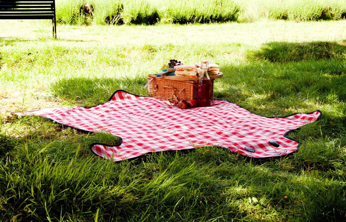 Coperte: Picknick-Decke Bärenfell-Teppich – Nuovo e nell'imballaggio originale da Schwyz venduto da mucholoco 3