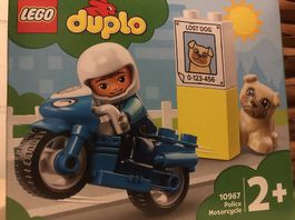 Lego Duplo (neu)