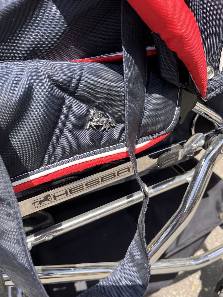 Carrozzine: Hesba Luxuskinderwagen – Usato da Oberägeri venduto da fam_k5sf 1