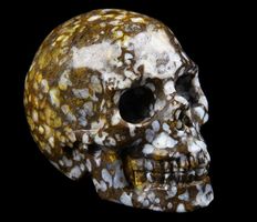 Coffee Opal Skull
