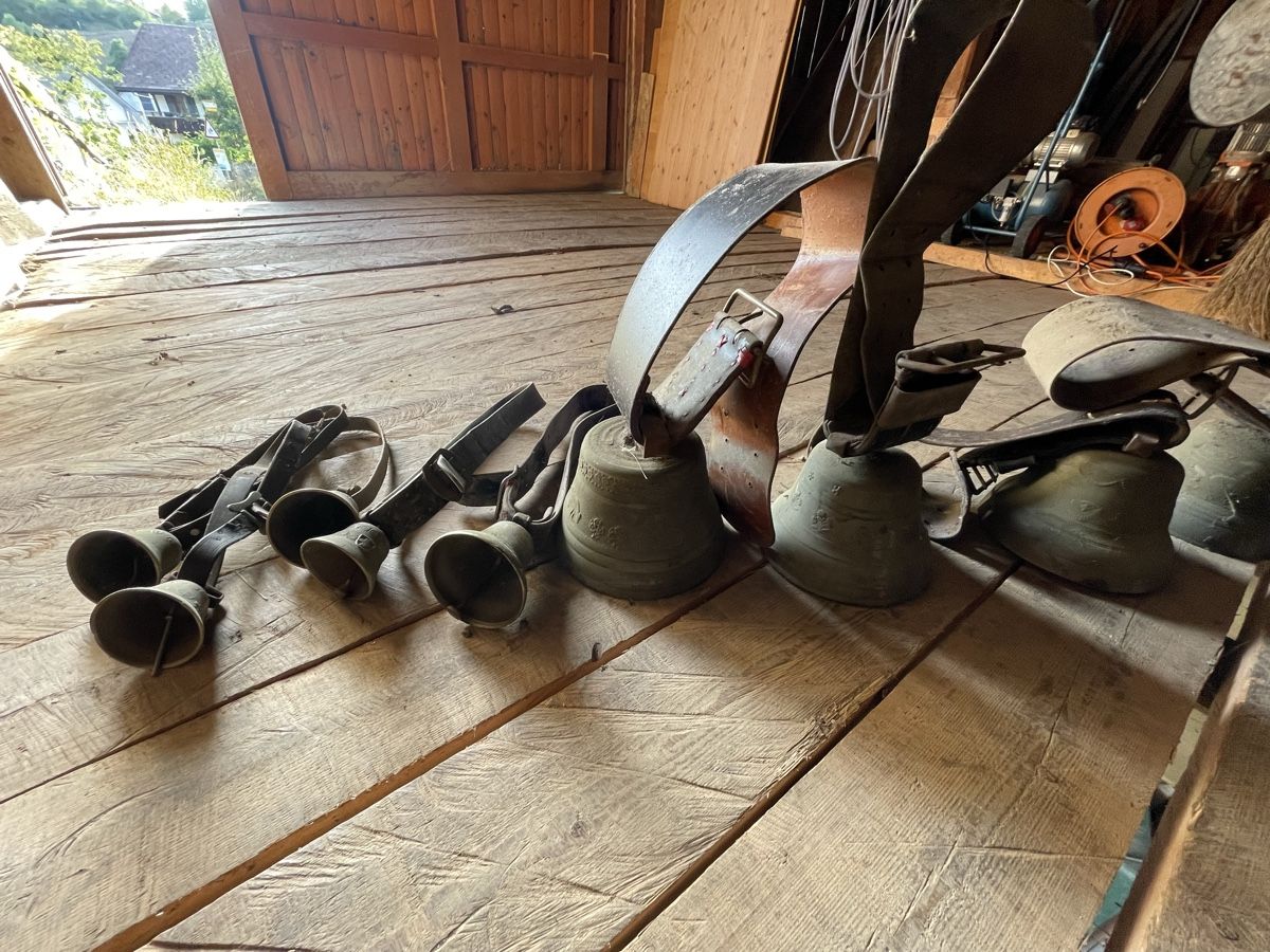 Glocken & Treicheln: Glocken, Schellen grosser Posten! – Gebraucht aus Burgistein von hac_72zv 2