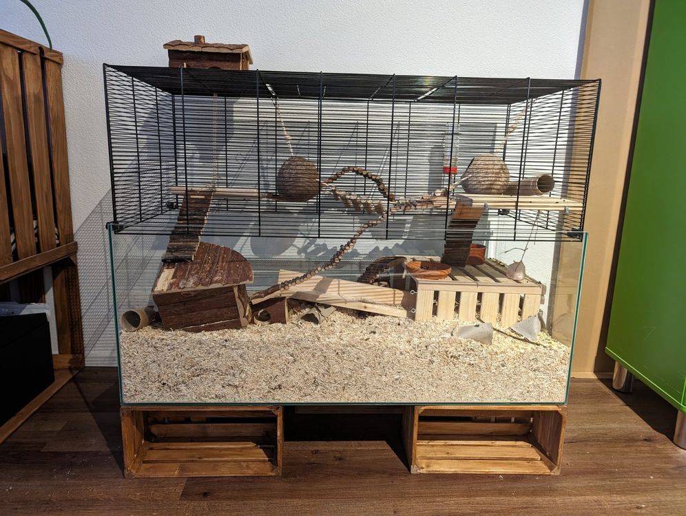 Wasserdichte Go-Kart Abdeckung 420D Oxford - 2-Sitzer Schutzplane Mit Belüftung