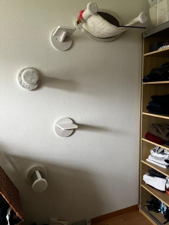 TAUS Katzenwand Set 7-teilig | Massivholz Kratzmöbel Mit Hängematte