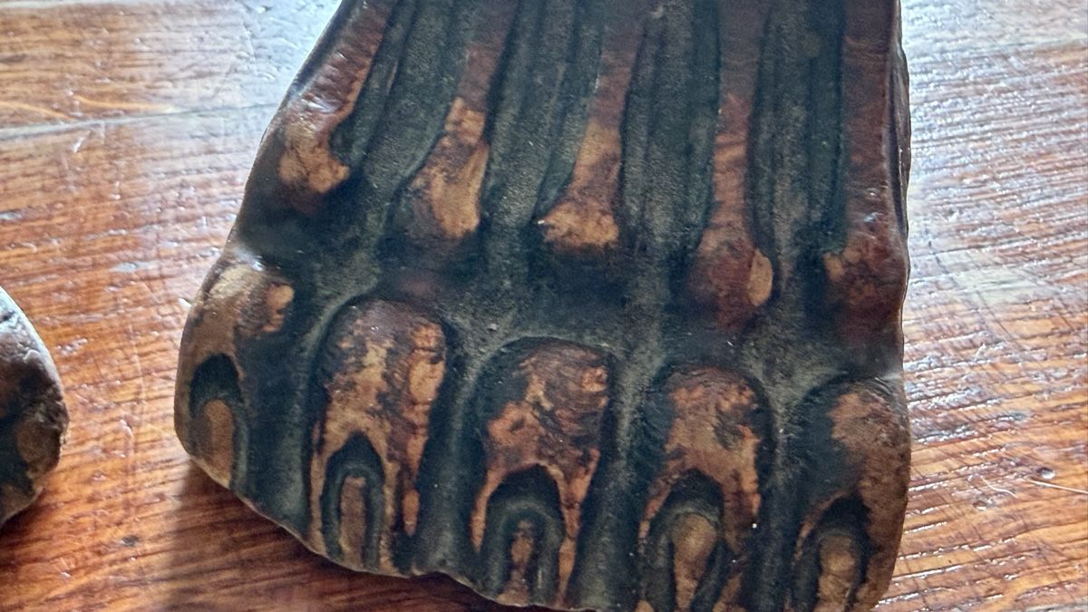 Alle Werkzeuge: Löwentatzen um 1920 Möbelfüsse – Gebraucht aus Riedholz von Frettchen63 5