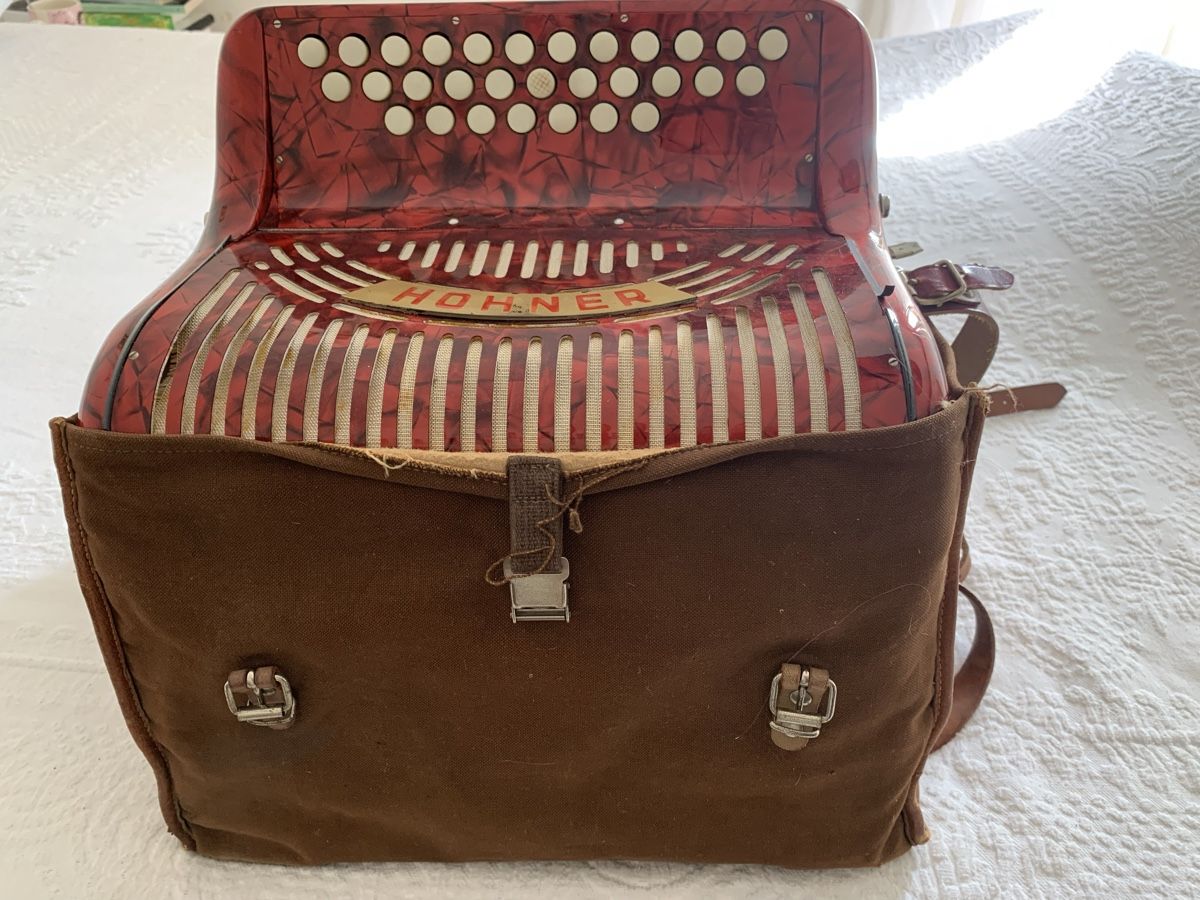 Hohner Strumenti musicali: Diatonische Handorgel Hohner – Usato da Zürich venduto da Olimpied 8