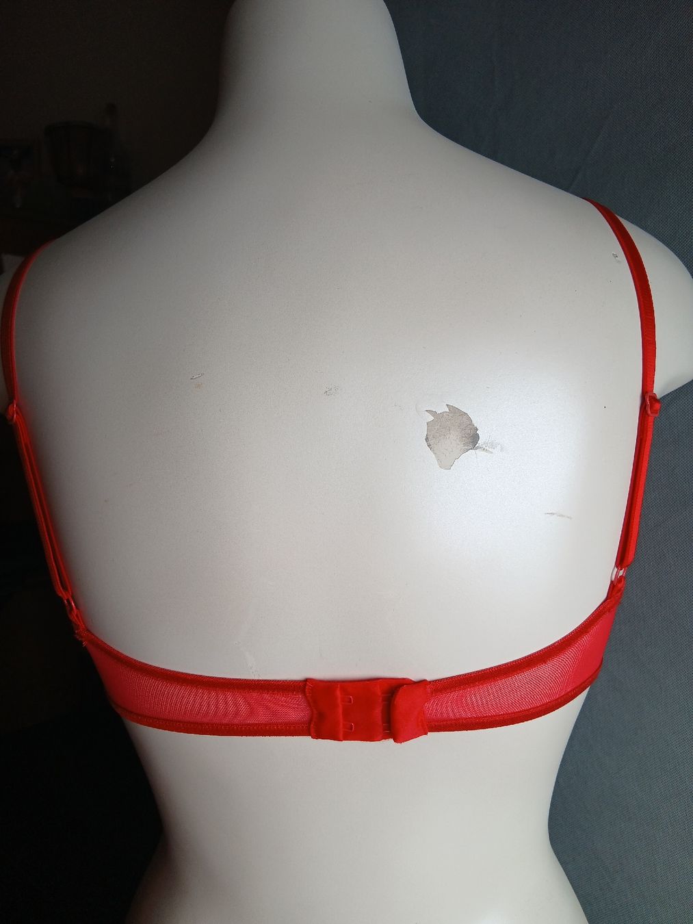 Beldona Altra biancheria intima: Original BELDONA BH – Nuovo (secondo la descrizione) da Galgenen venduto da Liv_Steinauer_1 2