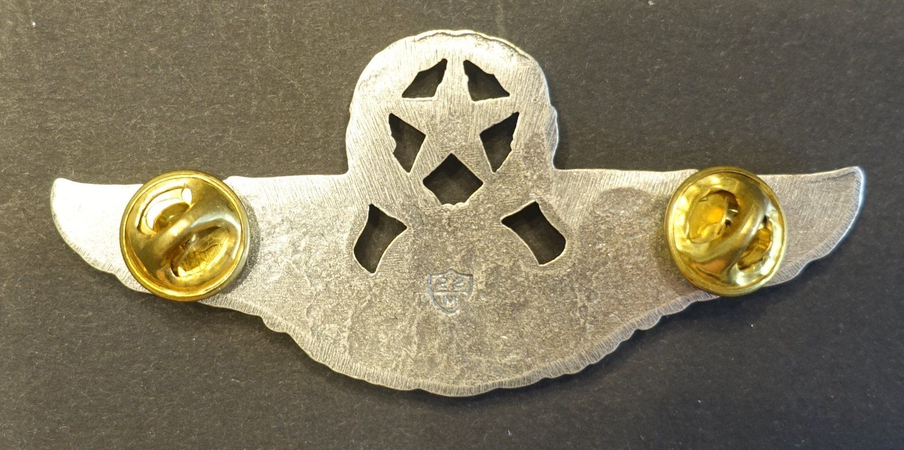 Medaglie: US Air Force Chief Enlisted Aircrew Badge – Usato da Kappelen venduto da Marmoe 2