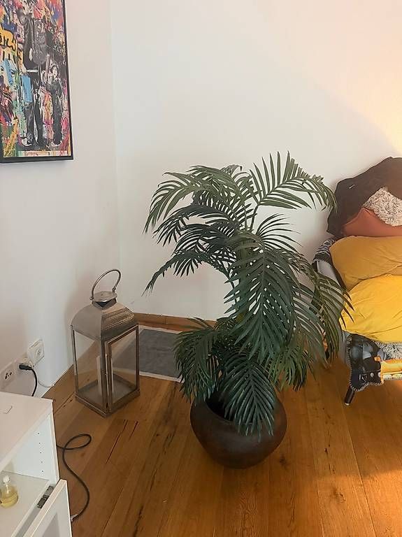 Pflanzen & Samen: Künstliche Palme mit Topf – Gebraucht aus Schlieren von sheila000 1