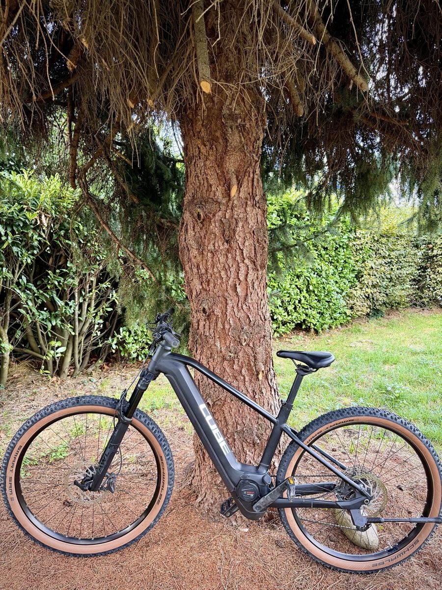 Cube Biciclette: CUBE Reaction SL  Bosch Performance Line CX, 750 Wh – Usato da Bern venduto da ser_7vtn 4