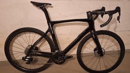 Rennvelo Pinarello Prince FX Disc, 54, neu, ohne Laufräder