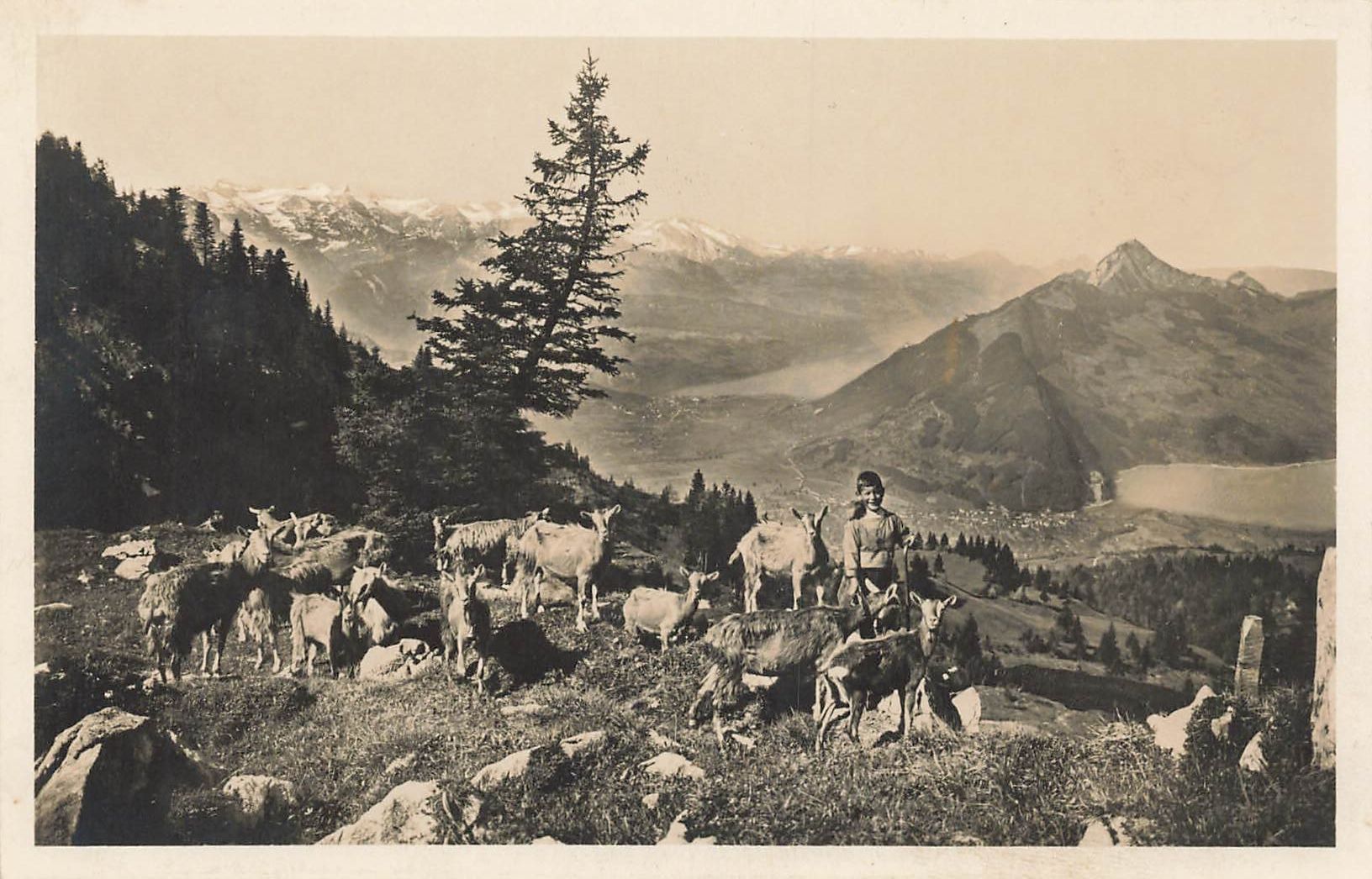 Cartoline postali: 2 Ansichtskarten - Geissbueb auf Haggenegg – Usato da Schwyz venduto da Seffi56 1