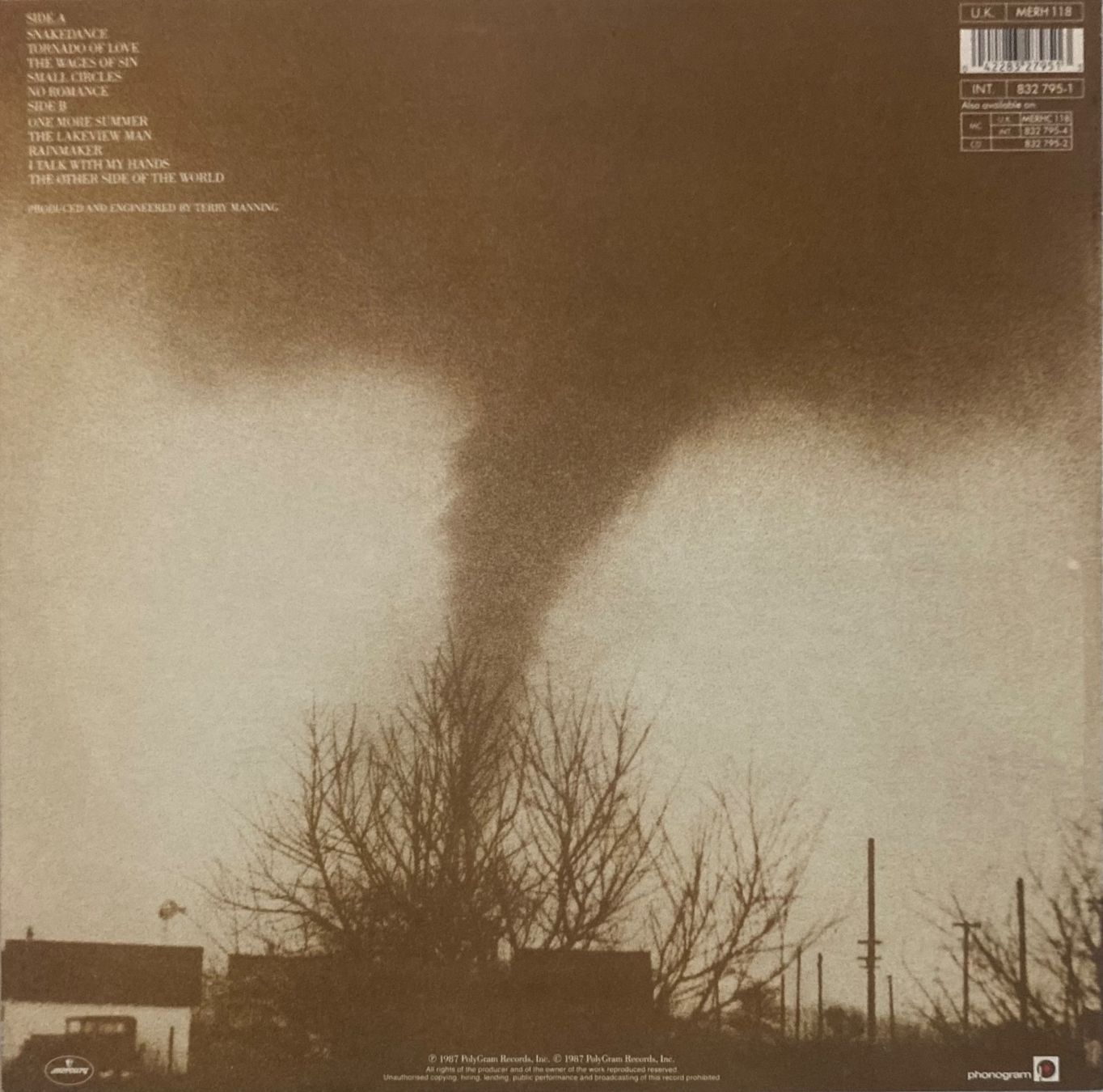 Dischi in vinile: THE RAINMAKERS - TORNADO – Usato da Poliez-Pittet venduto da Newtown-Records 1