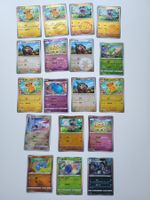 Pokémon Lot mit seltenem Holo-Muster